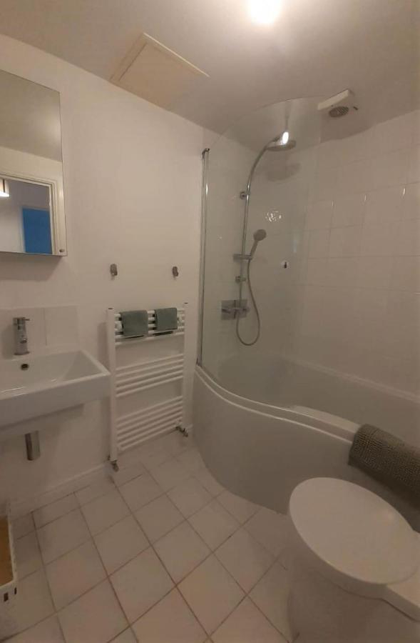 2 Bedroom Victorian Garden Flat Londres Exterior foto